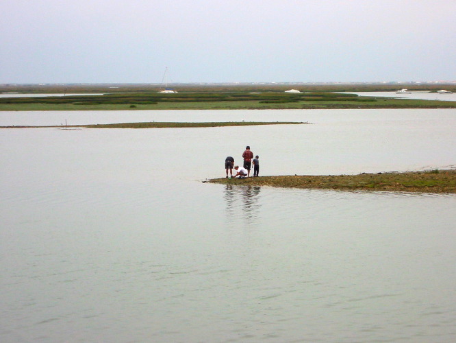 img_4740.jpg